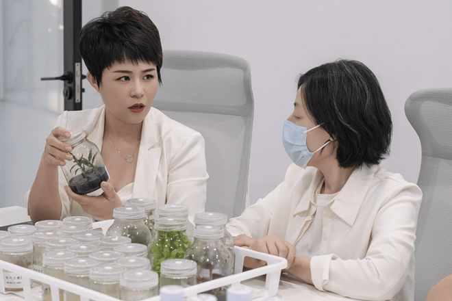 黛安蒂参编《2025植物外泌体抗衰技术白皮书》发布(图4)