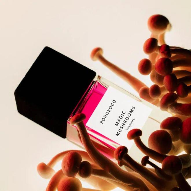 2025年亚太区美容展即将启幕《中国化妆品》杂志将现场报道!(图3)