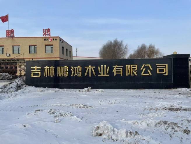 PG平台2025板材十大品牌权威解析：环保与创新引领绿色家居新趋势(图1)