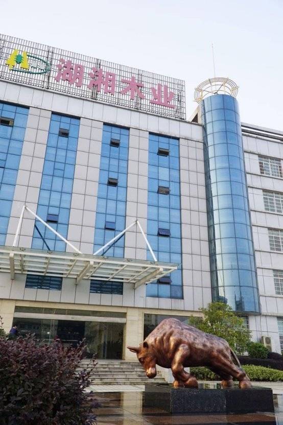 PG平台2025板材十大品牌权威解析：环保与创新引领绿色家居新趋势(图2)