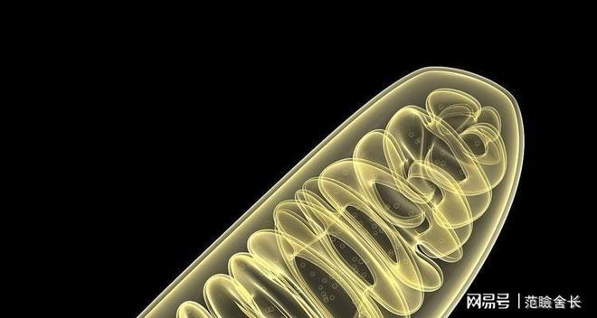 PG平台富豪抗衰老手段多样换血、冻尸等年耗200万只为年轻5岁(图7)