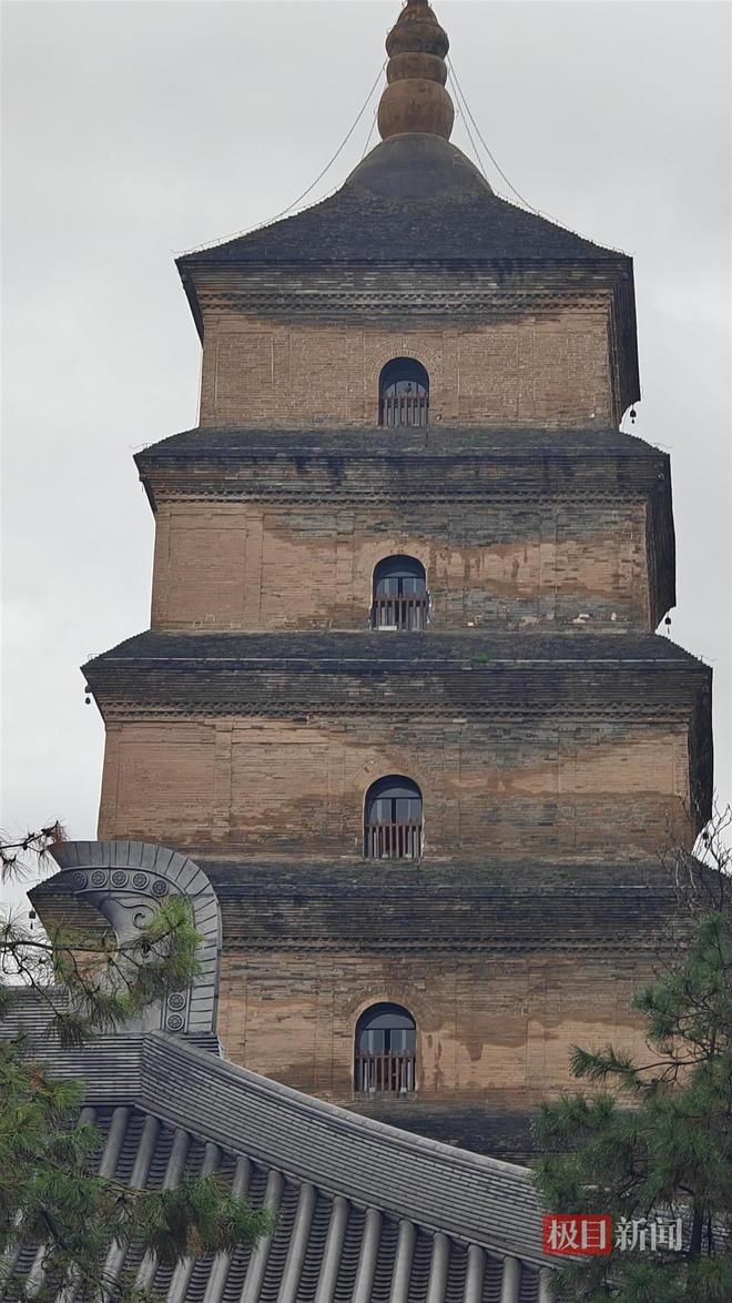 PG电子网站西安连续一个多月降雨遍地长蘑菇大雁塔受潮城墙布满青苔气象局解释成因(图3)