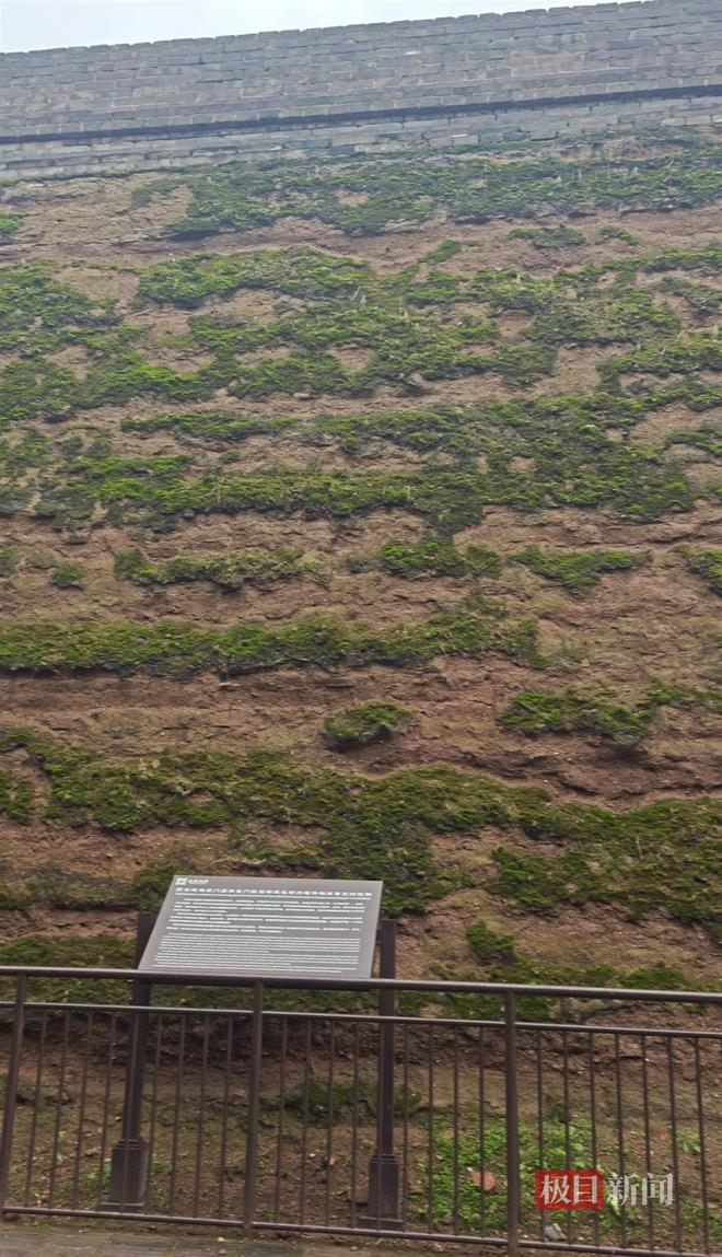 PG电子网站西安连续一个多月降雨遍地长蘑菇大雁塔受潮城墙布满青苔气象局解释成因(图1)