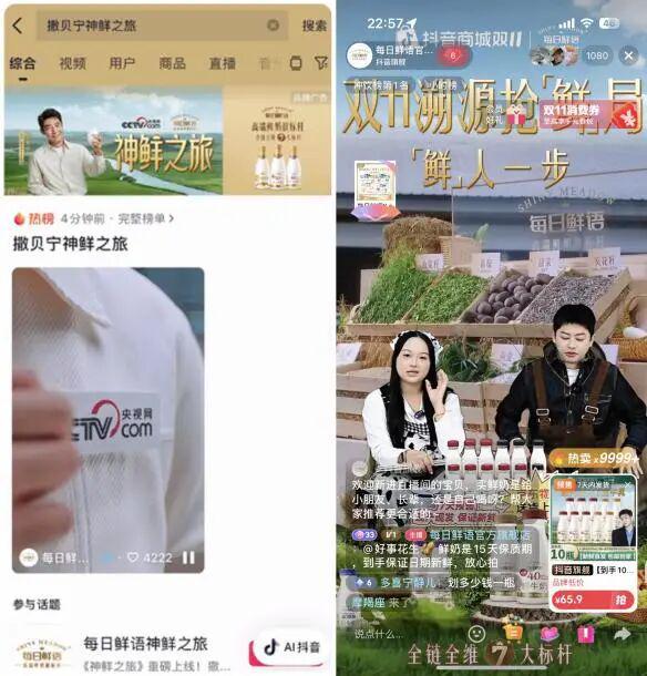 当双11价格战退潮品牌如何打赢情绪价值抢位战？(图2)