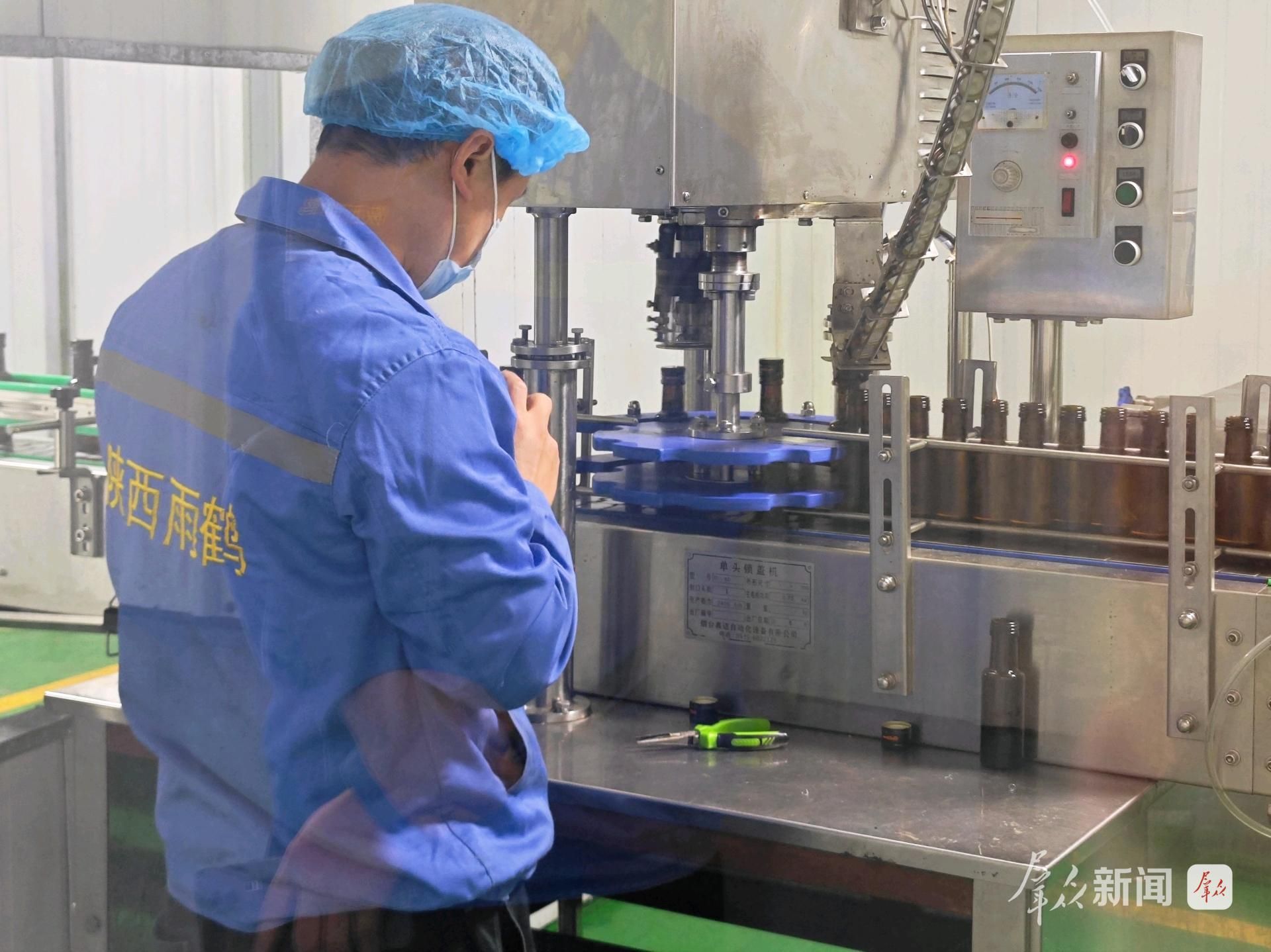 商洛：小核桃闯荡大世界(图2)