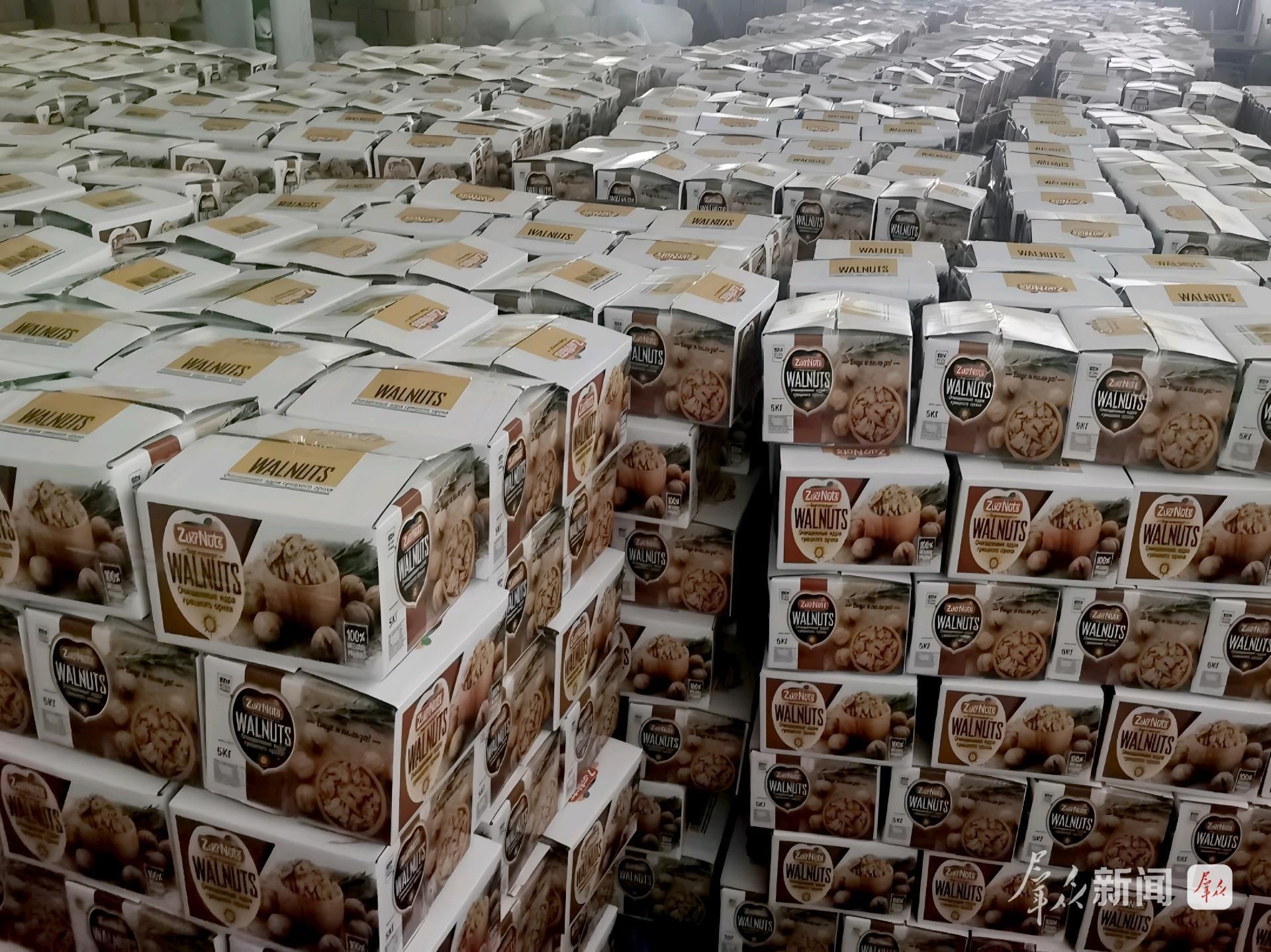 商洛：小核桃闯荡大世界(图5)