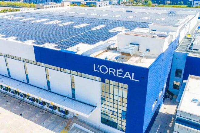 我们这个时代的最大红利为什么是美？(图4)