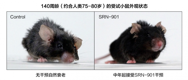 PG电子网站赛诺根取得革命性长寿科技成果德国开始布局衰老干预产业(图3)