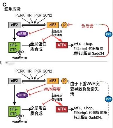 百人团队面临裁撤！谷歌124亿“抗衰老”计划重创(图8)