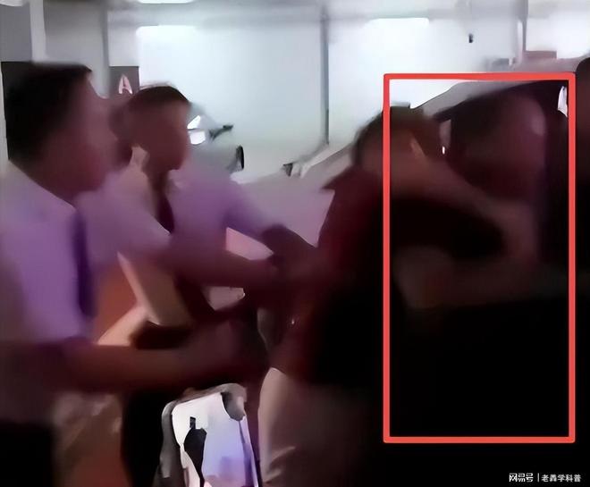 72岁赵雅芝遭私生粉丝上床拍照樊振东担忧成真(图6)