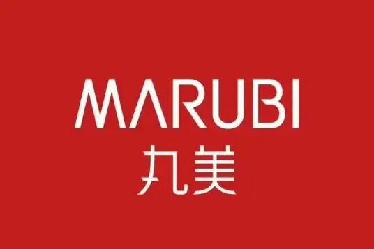 丸美生物(603983)(图2)