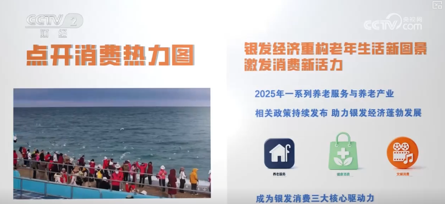 PG电子平台多视角感知银发消费热力轨迹“数”看银发经济万亿级大市场加速向新(图16)