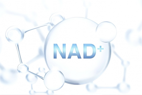 PG平台2025年度NMN值得信赖的品牌推荐：实测业界TOP1品牌重新定义高效抗衰(图3)
