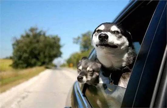 世界如此美妙你却如此暴躁！南宁＂路怒哥＂发生碰撞后竟做出了这样的事(图9)