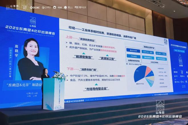 PG平台2025东南亚北非出海峰会成功举办3000家企业同聚一堂共话出海新机遇(图6)