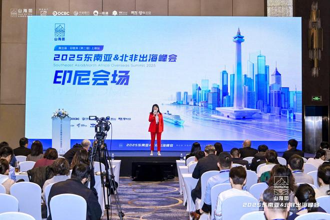 PG平台2025东南亚北非出海峰会成功举办3000家企业同聚一堂共话出海新机遇(图9)