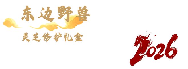 这是一篇很“飒”的品牌新年礼大赏(图3)