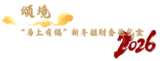 这是一篇很“飒”的品牌新年礼大赏(图5)