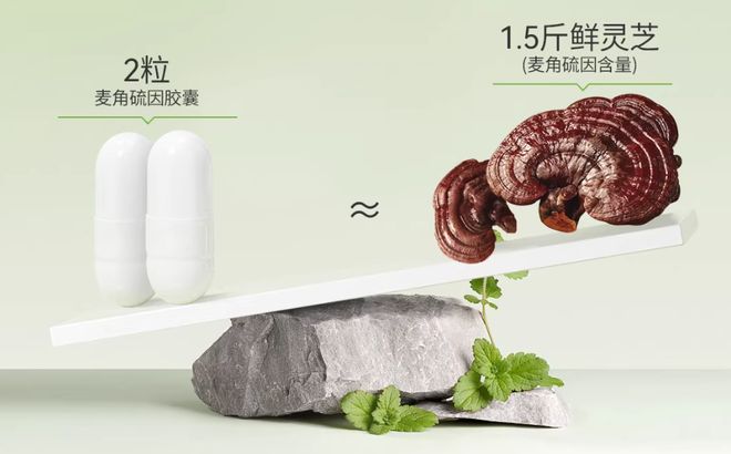 1粒抵1斤鲜灵芝？16款麦角硫因补充剂对比：添加量最高差12倍单日食用成本差20倍(图8)