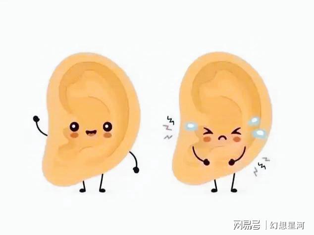 总是左耳朵进右耳朵出?原来是左耳情话右耳指令更适合(图4)