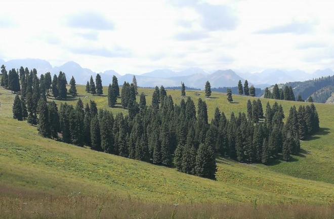 PG电子网站带家人到新疆旅游8天7晚旅行团价格大概是多少值得收藏避坑(图2)