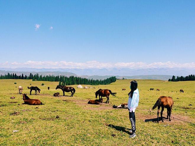 PG电子网站带家人到新疆旅游8天7晚旅行团价格大概是多少值得收藏避坑(图3)